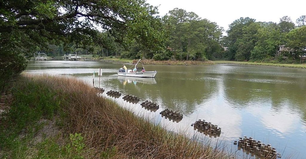 Lynnhaven River NOW